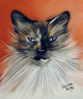 Sophie Cat by Susanna Pantas